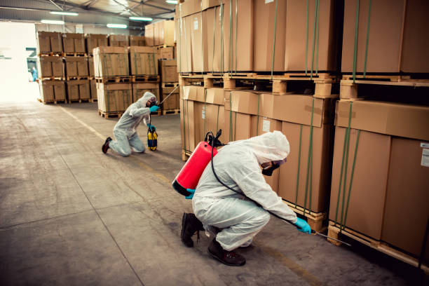 Pest Control for Restaurants in Cape Girardeau, MO