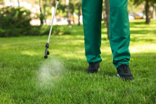 Best Commercial Pest Control Services  in Cape Girardeau, MO