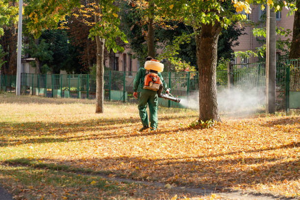 Wildlife Control Services in Cape Girardeau, MO