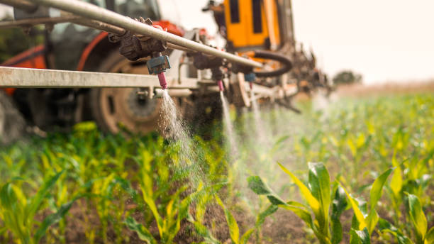 Best Best Pest Control Companies  in Cape Girardeau, MO